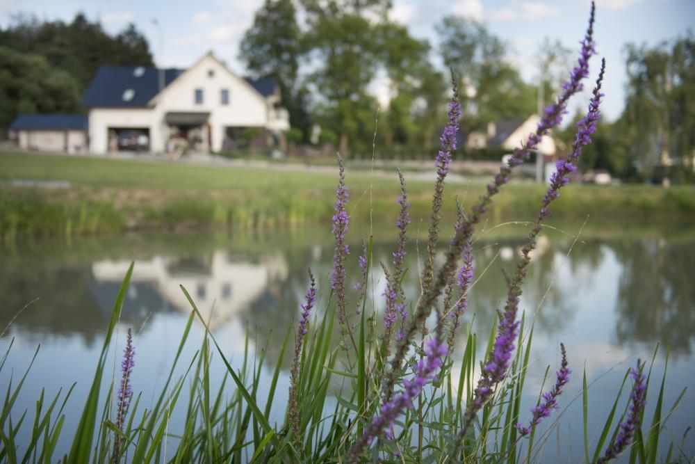 U Harrego I Przy Stawie Z Klimatyzacja, Balia, Sauna, Ogrodem I Parkingiem Apartment Kudowa Zdroj